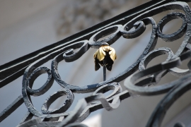 HOTEL DURBE - Photo 6 HOTEL DURBE - Photo 6