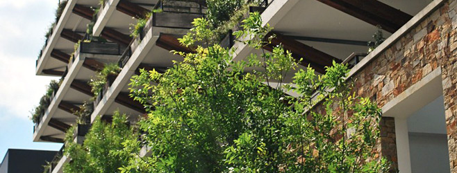 La vie de la copropriété