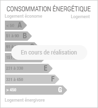 Diagnostic de Performance énergétique de niveau Z